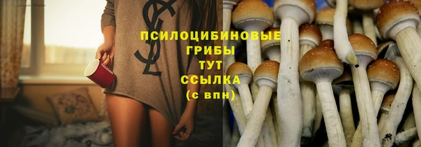 эйфоретик Абинск