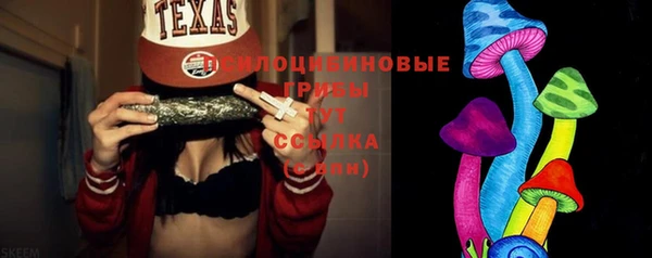 индика Абдулино