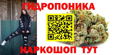 MDMA Можга
