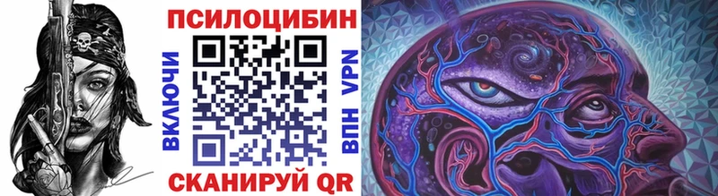 hydra маркетплейс  Тамбов  Псилоцибиновые грибы Cubensis 
