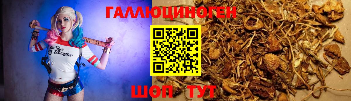 Тамбов  Псилоцибиновые грибы Magic Shrooms  Вход с VPN 